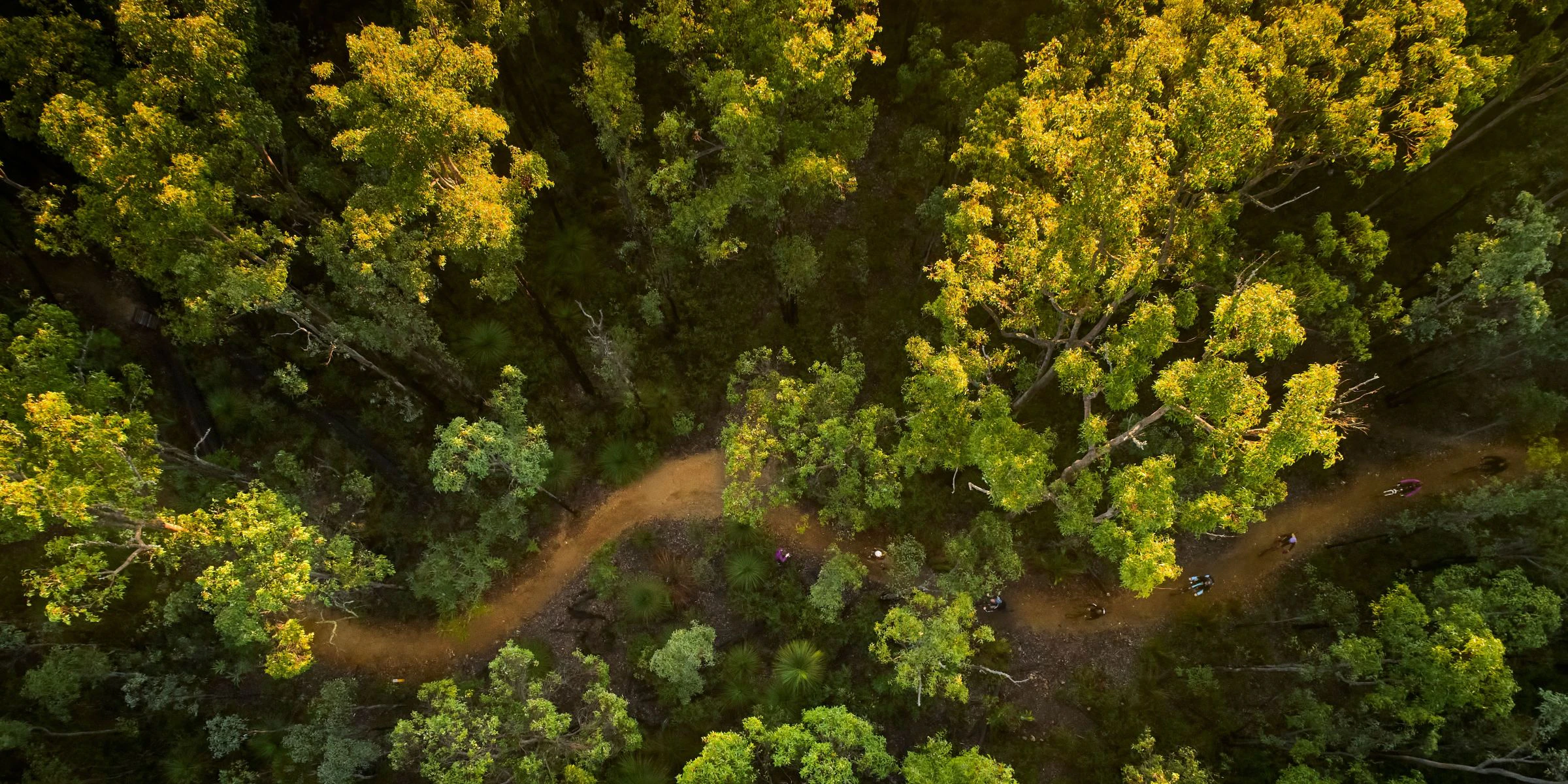 Wambenger MTB Trails Aerial View