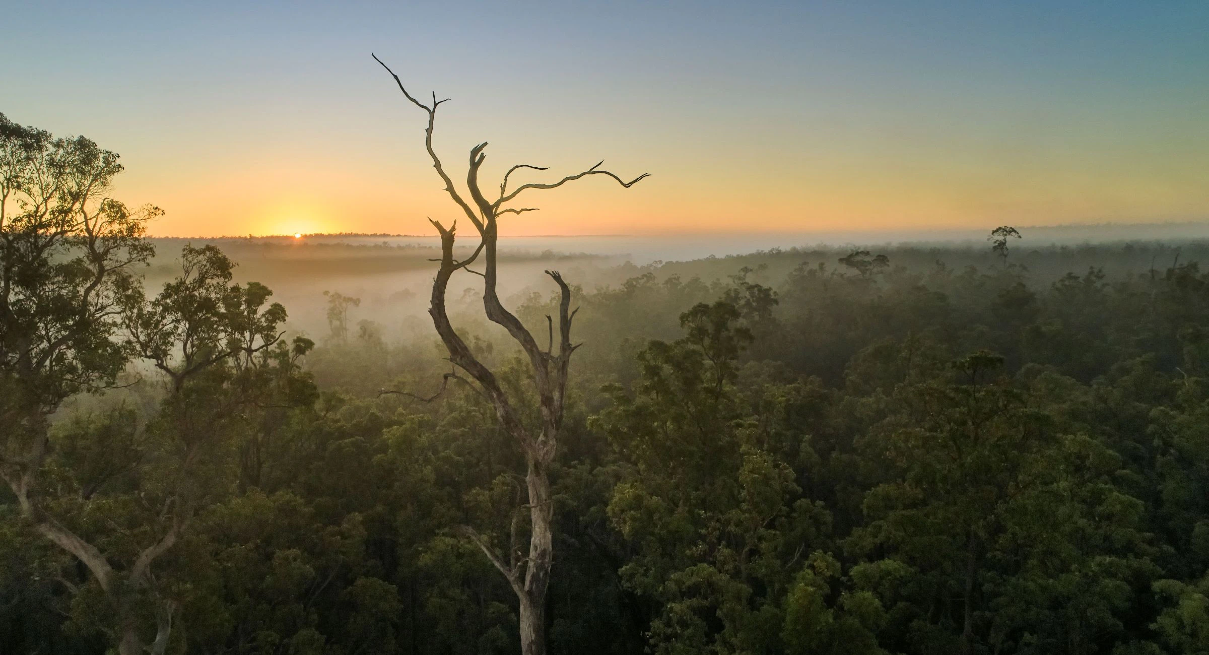 Sunset over Collie