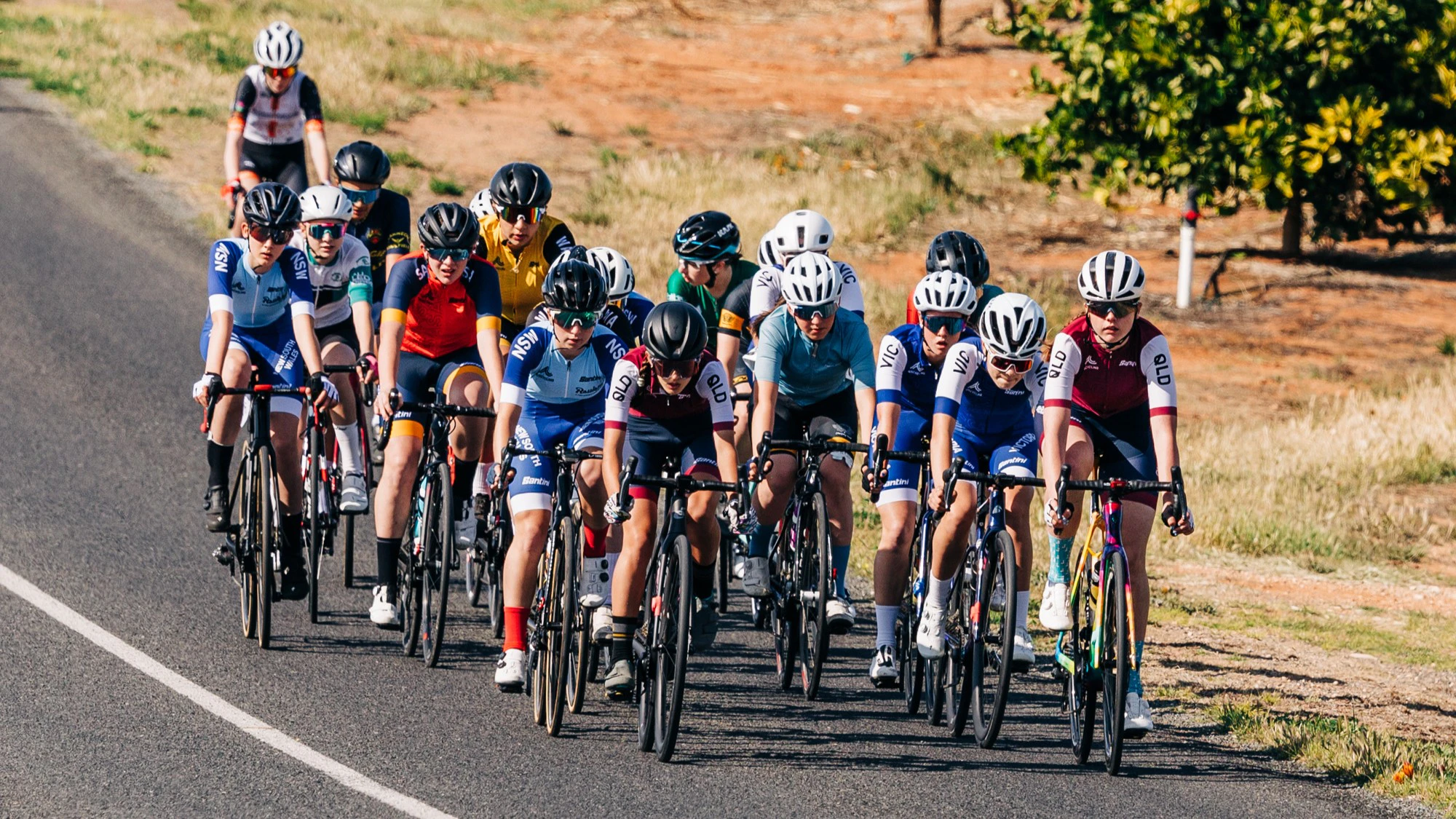 The peloton of a junior women's road race during the AusCycling Road National Championships in Loxton, South Australia in 2024.