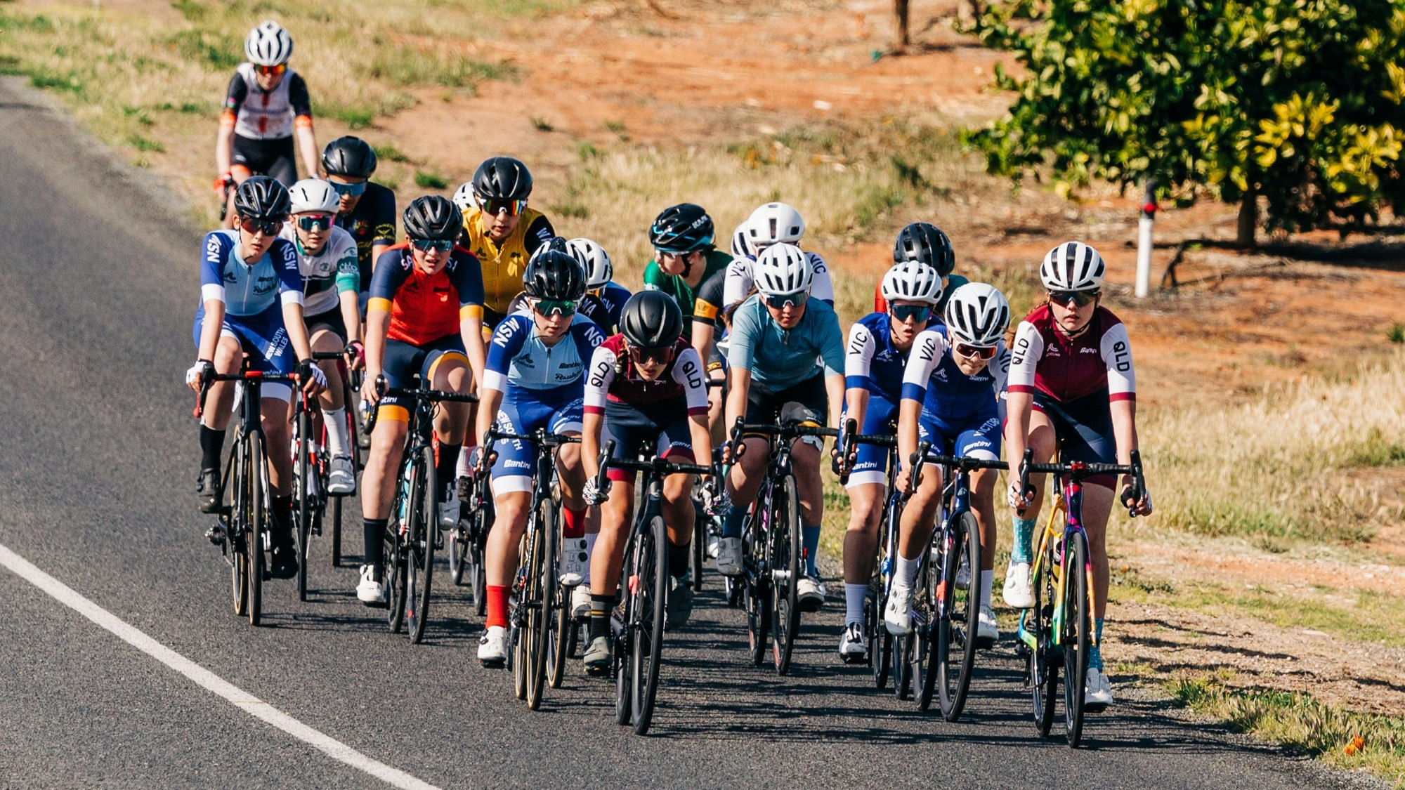 The peloton of a junior women's road race during the AusCycling Road National Championships in Loxton, South Australia in 2024.