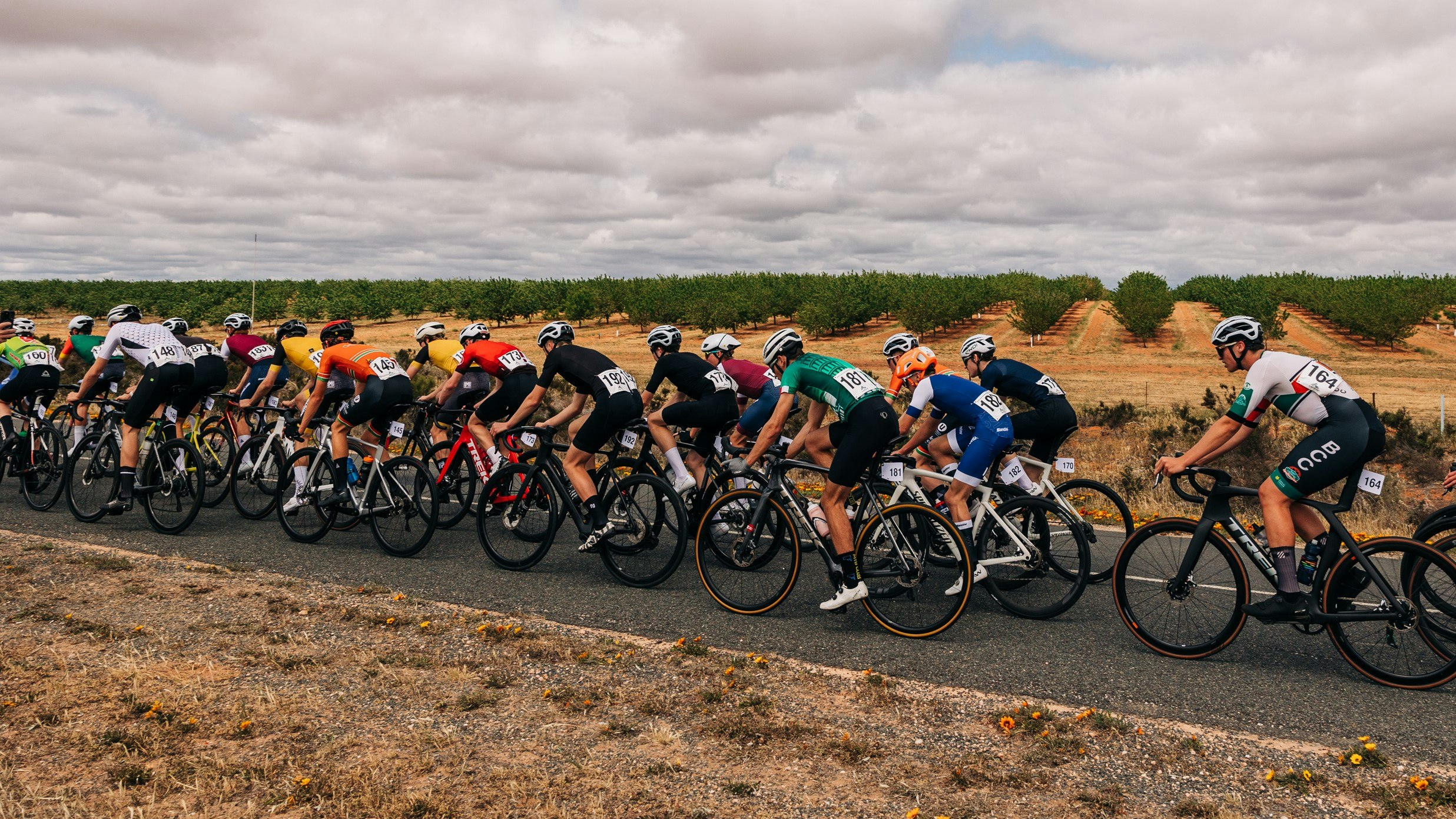 The under-17 boys peloton during a junior road race on exposed roads of Loxton at the 2024 AusCycling Masters & Junior Road National Championships
