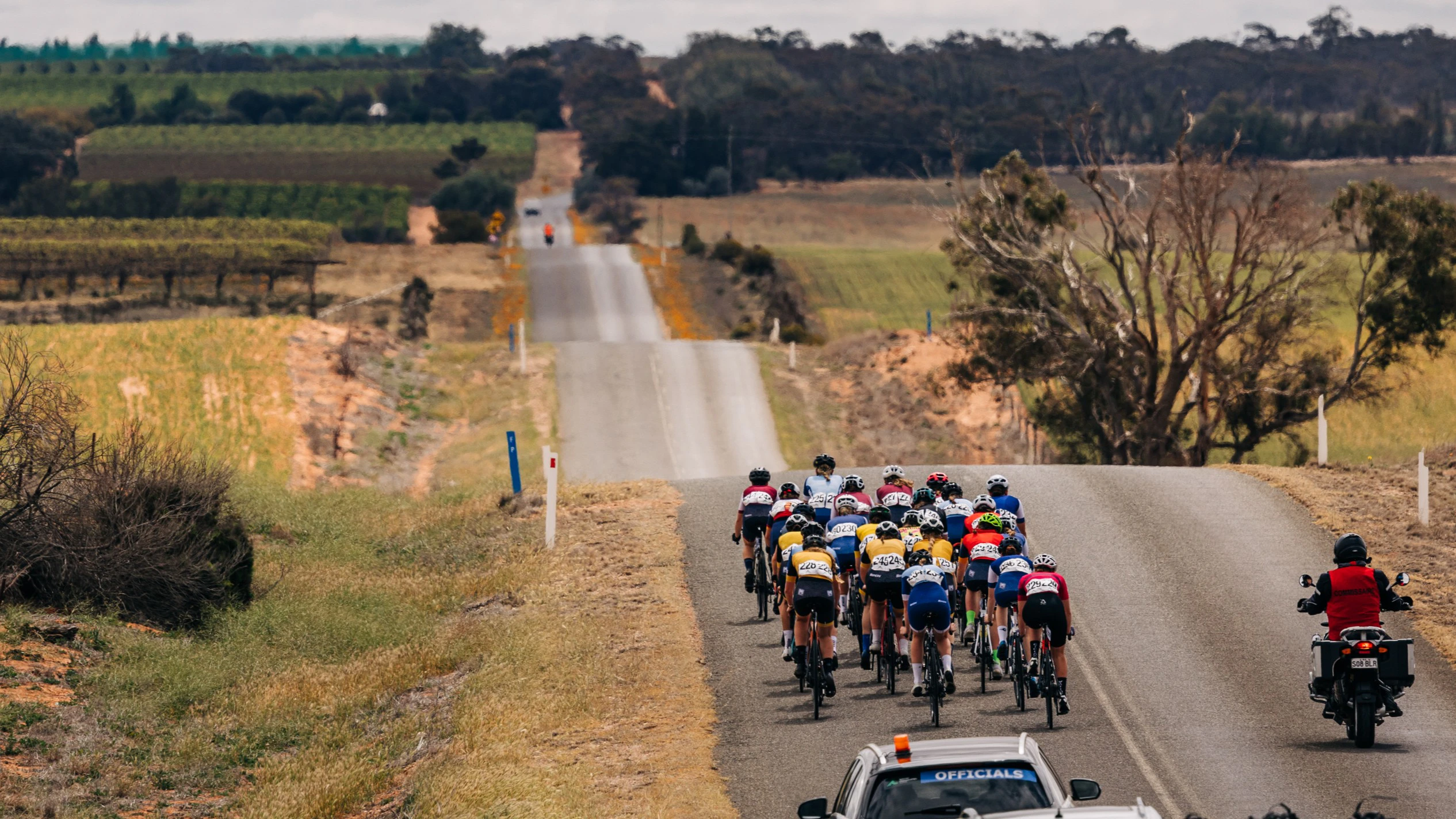 The peloton of a junior women's road race during the 2024 AusCycling Junior & Masters Road National Championships in Loxton, South Australia, shot from behind showing rolling undulations in the road ahead of them.