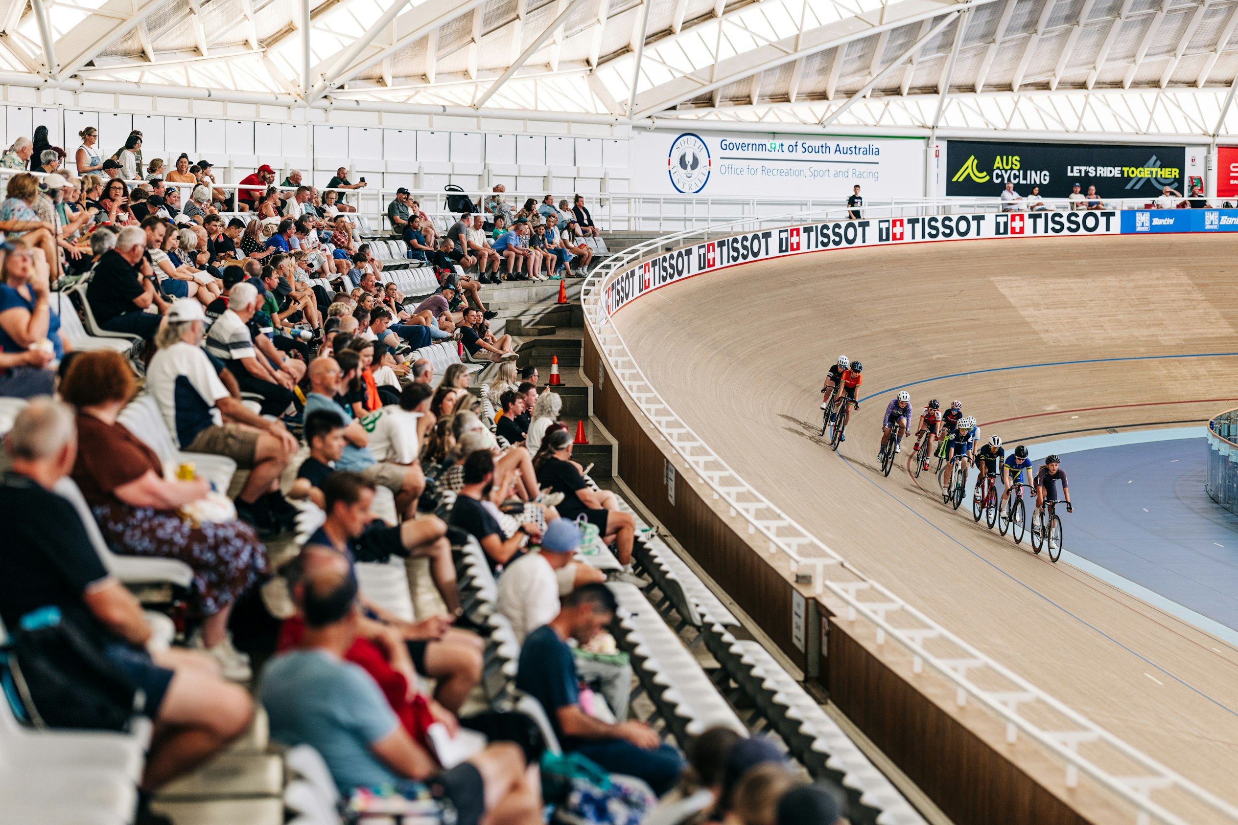 AJTS in Adelaide, January 2026. Picture: James Raison/Greyhound Media