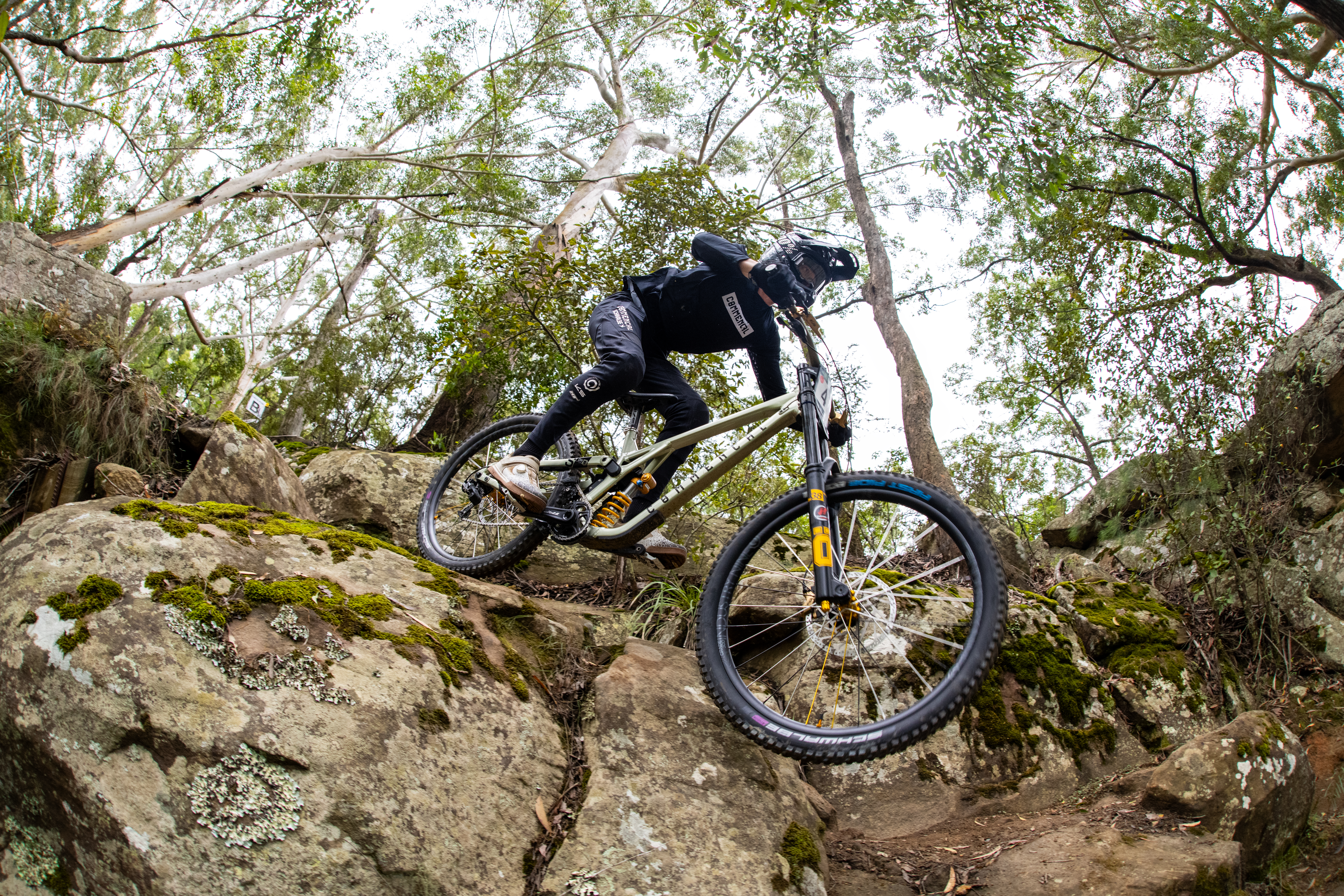 Mountain bike rider in black kit descending a steep rock garden surrounded by moss-covered boulders and eucalyptus trees
