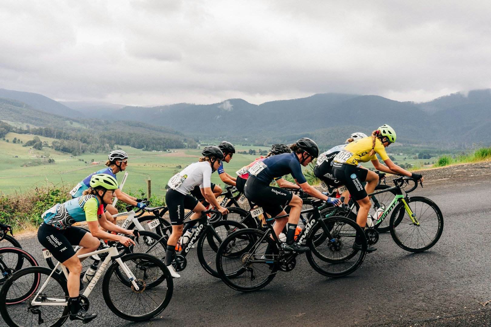 Cyclists climb an uphill road with views of a green valley and distant hills during the Tour of Tasmania 2023