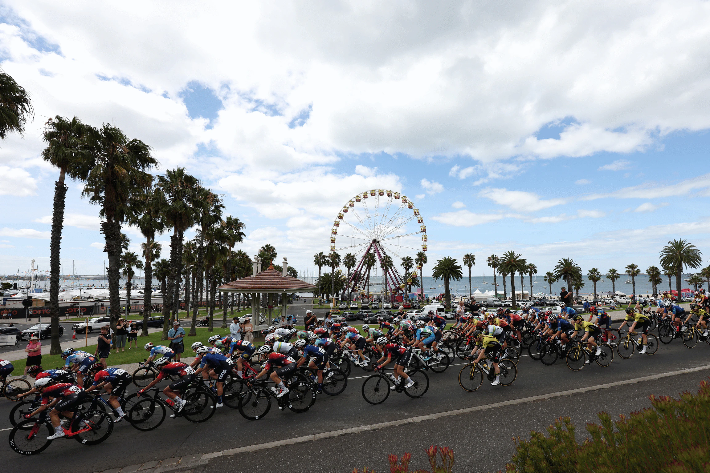 Cadel Evans Road Race 2024