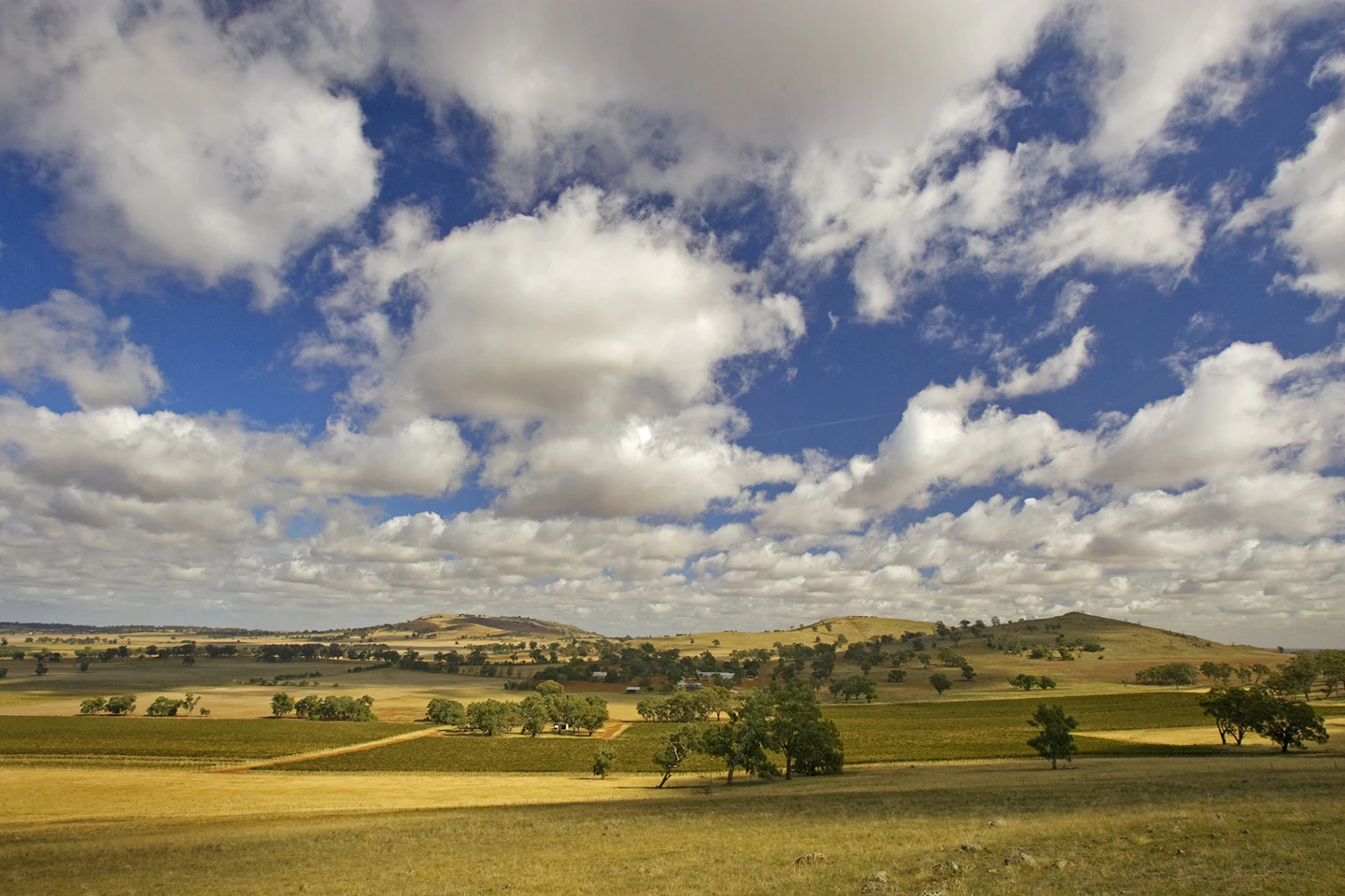 Shepparton - Farmland at Tallis Wines