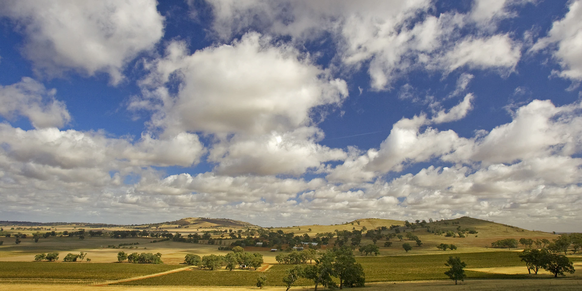 Shepparton - Farmland at Tallis Wines