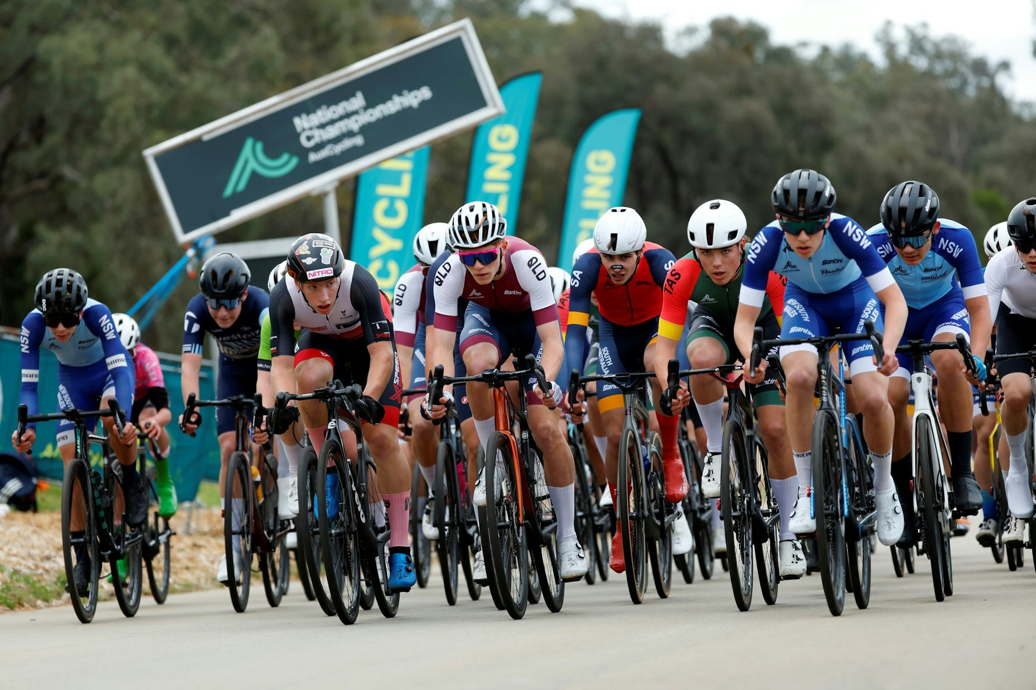 A peloton of junior men cyclists during the AusCycling Junior and Masters Road National Championships (Con Chronis)