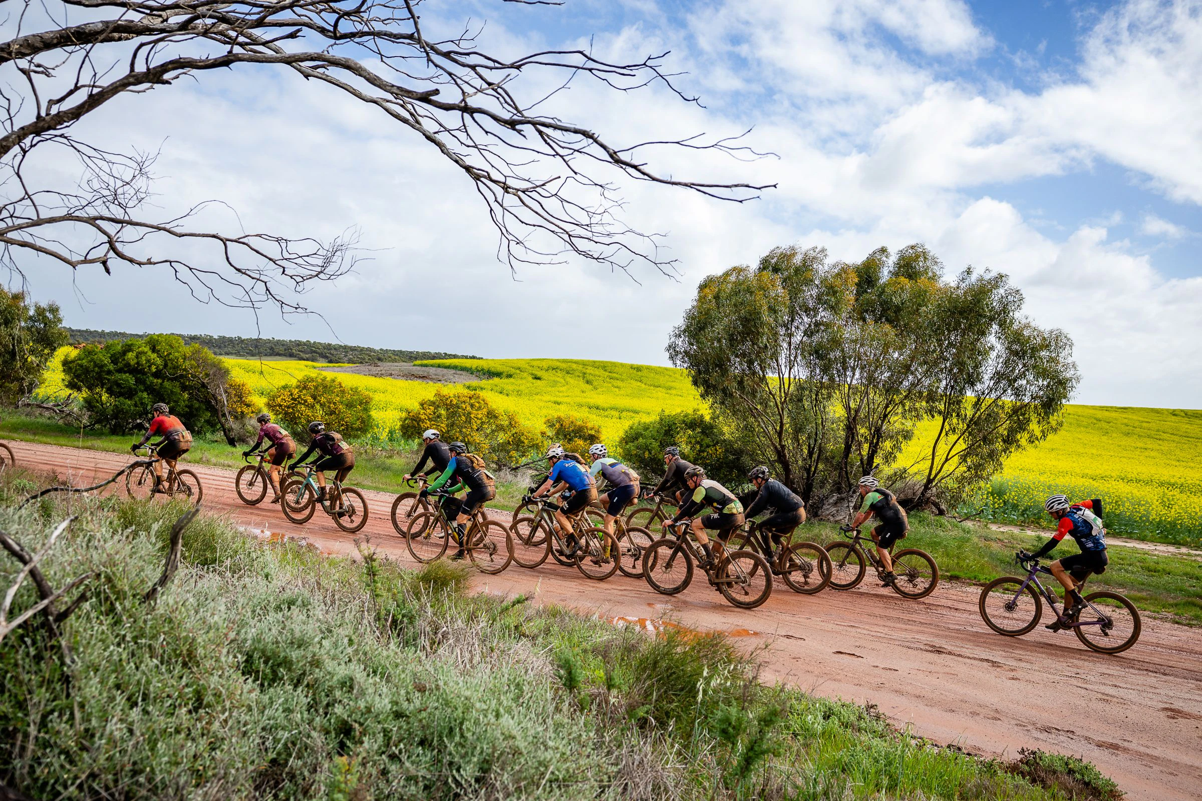 Gravel cyclists competing during the Backroads Gravel event in Western Australia