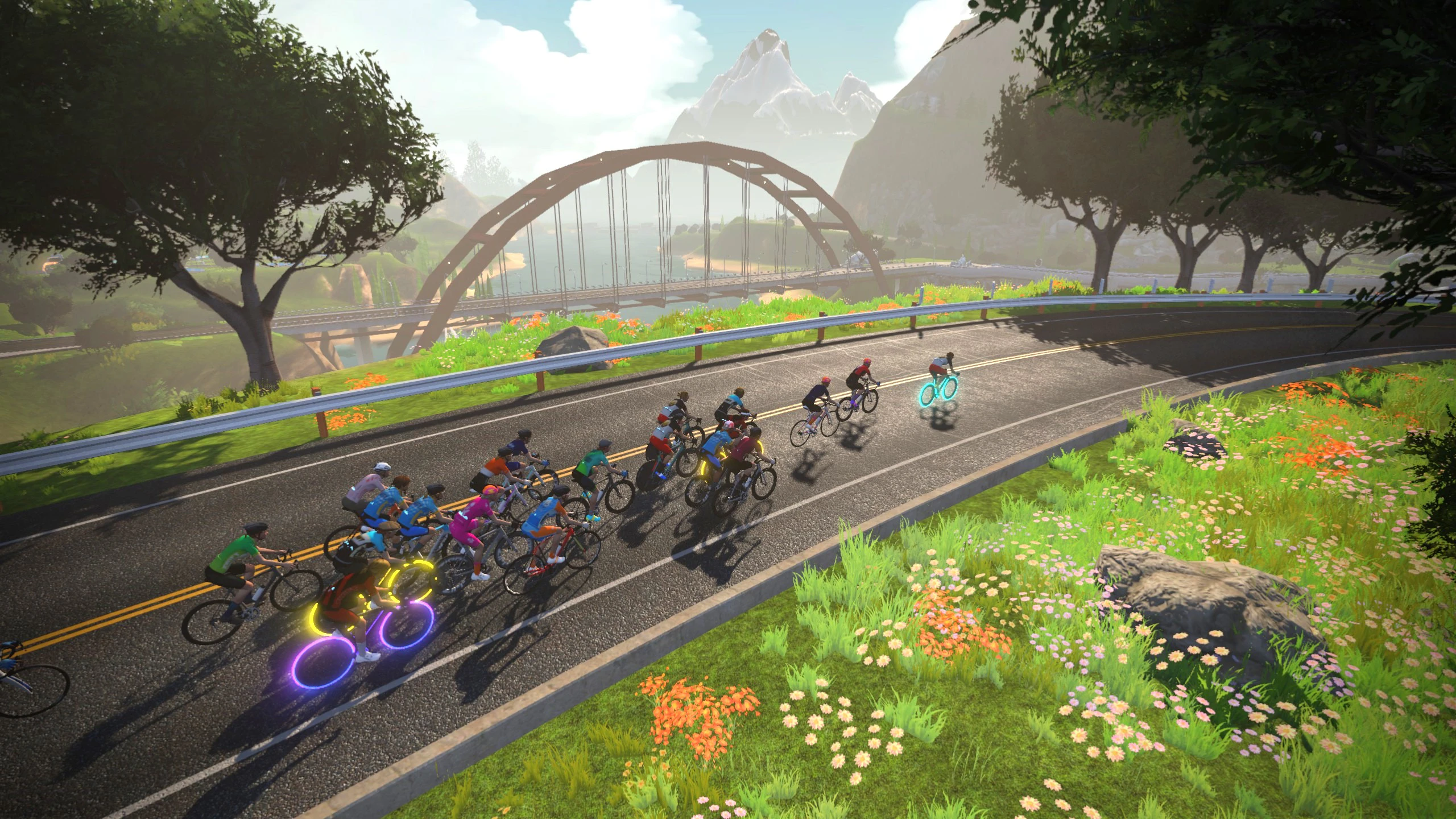 Esports platform Zwift.